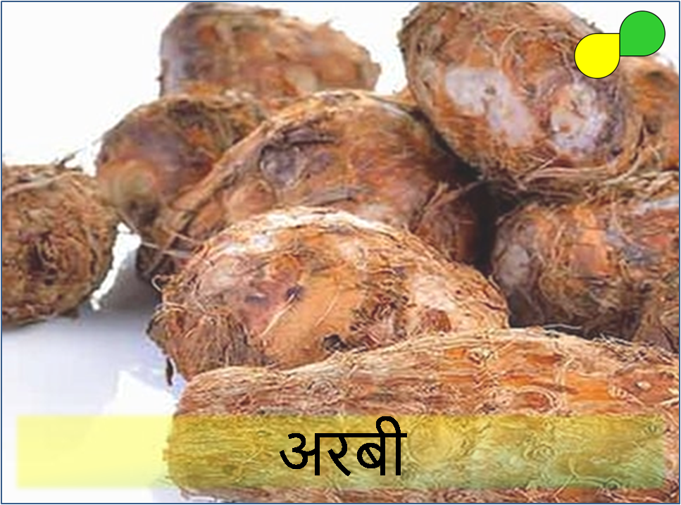 Colocasia Root (अरबी)