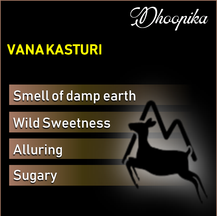 Herbal Puja Sticks (प्राकृतिक धूपबत्तियाँ):