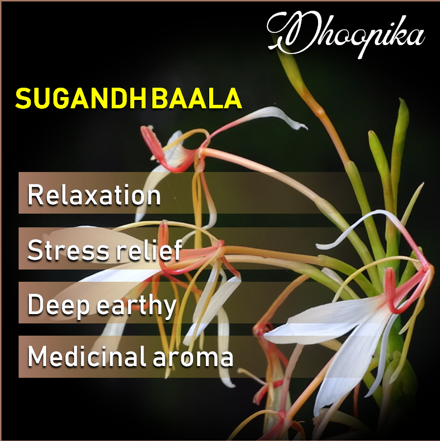 Herbal Puja Sticks (प्राकृतिक धूपबत्तियाँ):