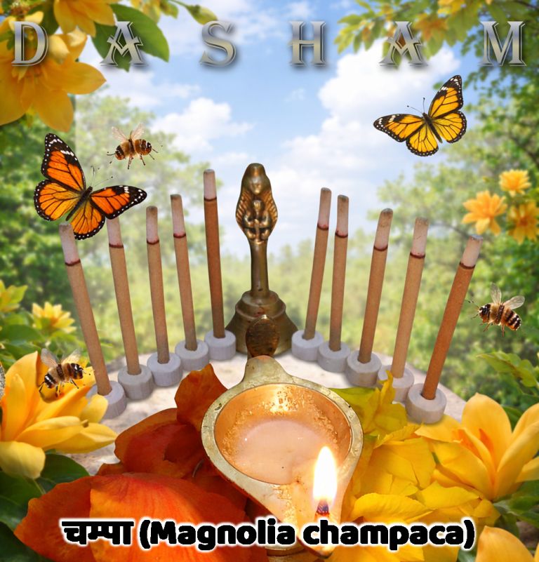 दशम (Dasham)