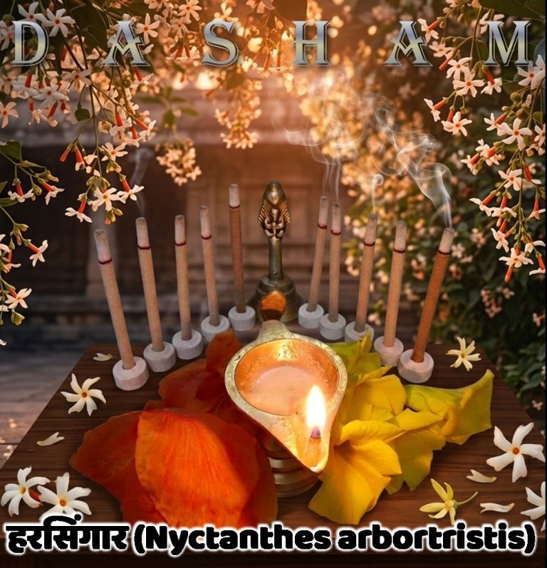 दशम (Dasham)