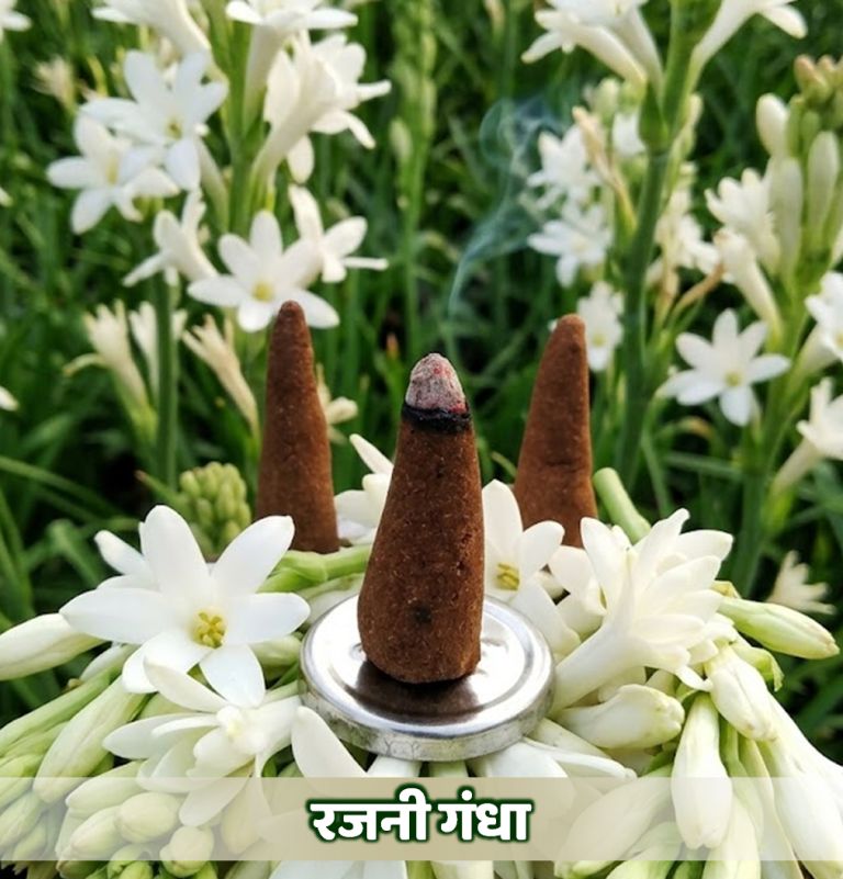 गोल्‍डेन हेक्‍सा (Golden Hexagon)