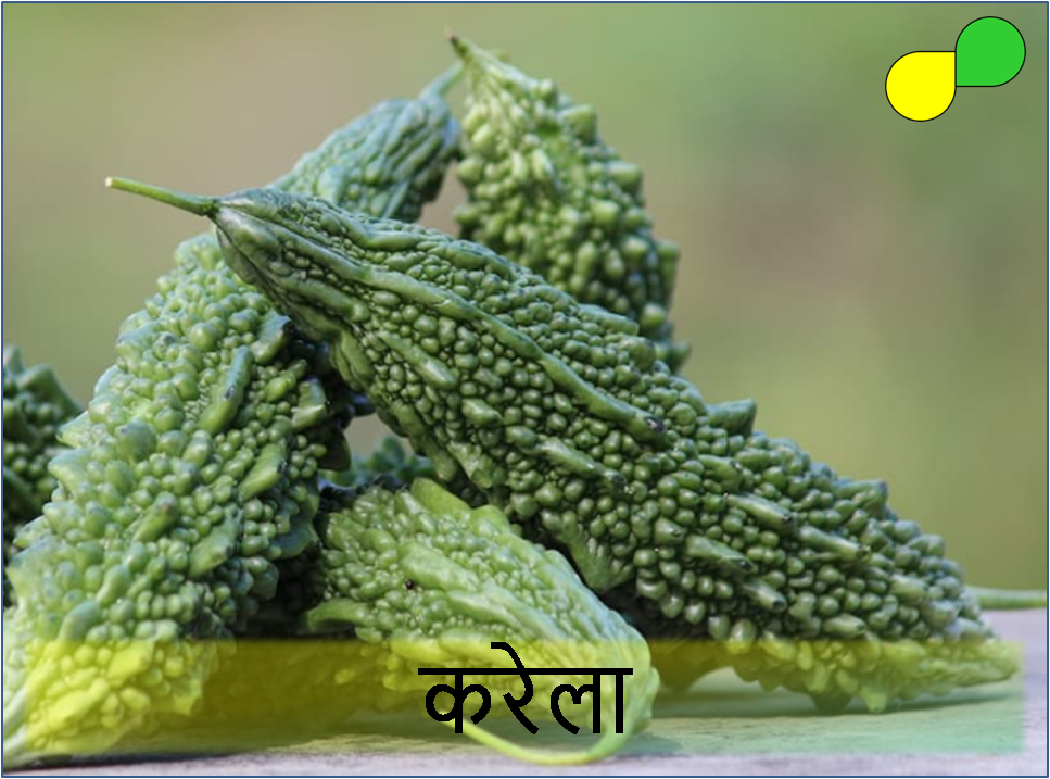 Bitter Gourd (करेला)