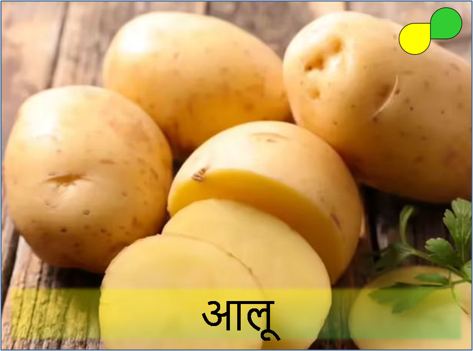 Potato (आलू)